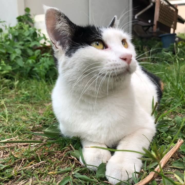 8c51d3df 81f0 4053 9013 69f988c6b0ca 1599126803918