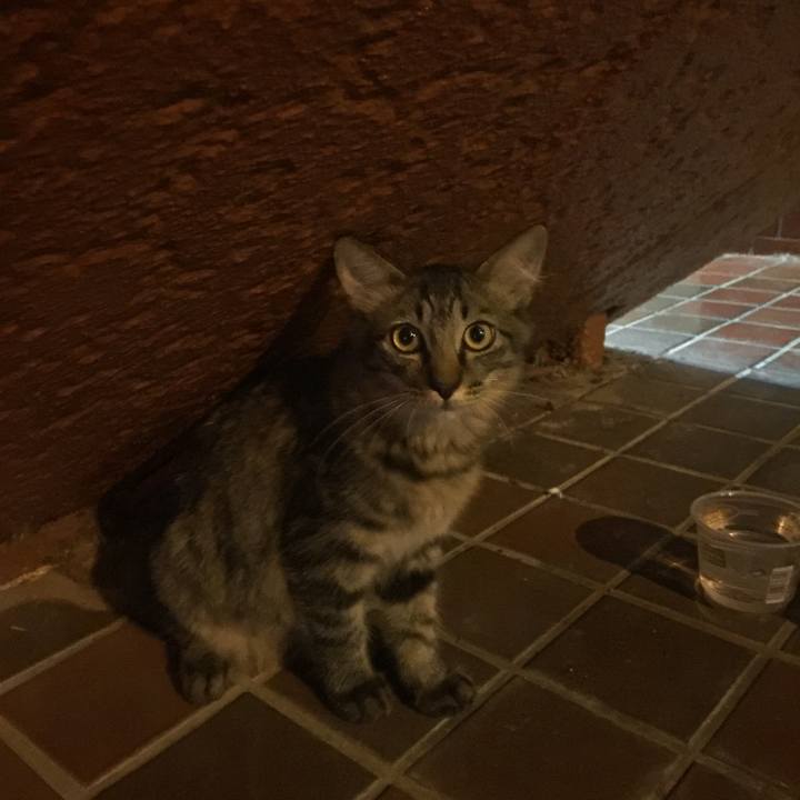 8c51d4db f7ee 44a6 be35 2b96dd630554 1567530109200