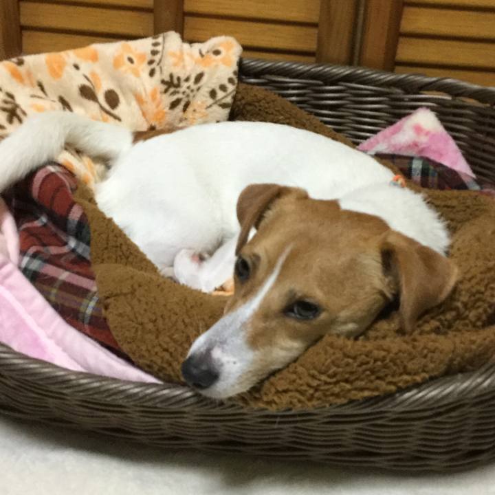 8c52173a 3a4f 4146 b0d8 0b465feea79c 1510050694285