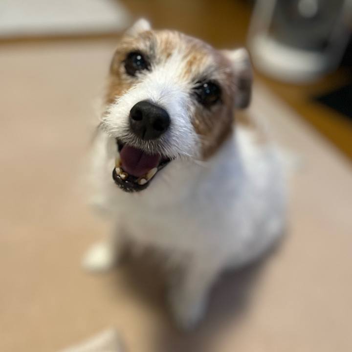 8c52482b 410b 4fd0 b79a bc5ff2272f8f 1719226663186