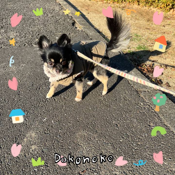 8c525365 3c22 43a2 a908 b3be3b2d3bb9 1741263001254