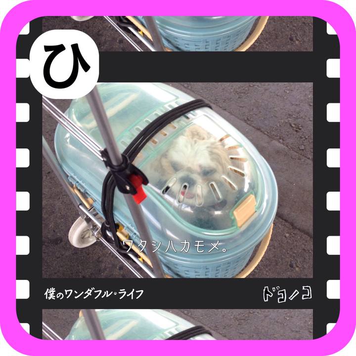 8c52aa74 fd6f 4633 acd7 83164f3ddc04 1515216123310