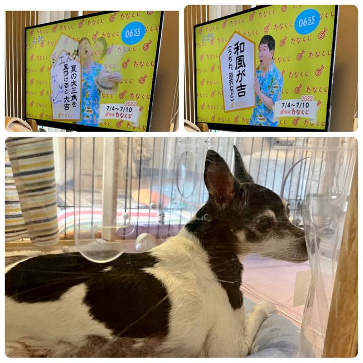 8c52b566 7b21 4b1e 85c5 8f4f6db1eaab 1656888576843