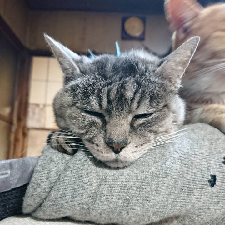 8c5302d6 e205 427c 9802 feb77cd5225d 1576230651233