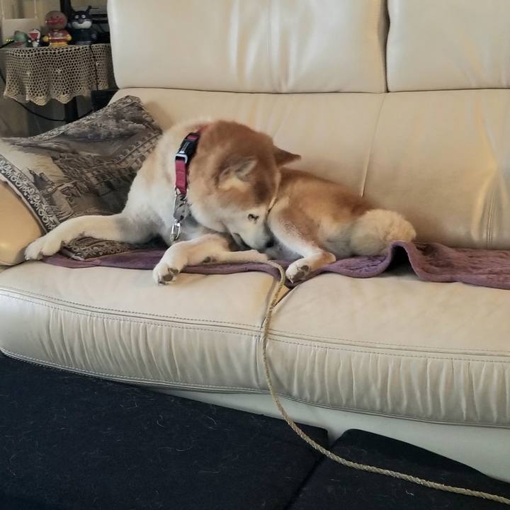 8c534215 baa9 4ff3 87fa ff5d745859f0 1726646423478