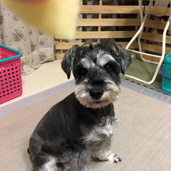 8c537fa7 e66a 4397 8a7a 75201a70be1a 1632139167290