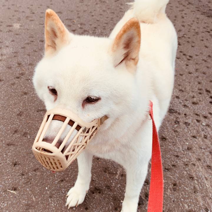 8c539918 329b 46f7 a68e b3e23029d5ad 1596490200594