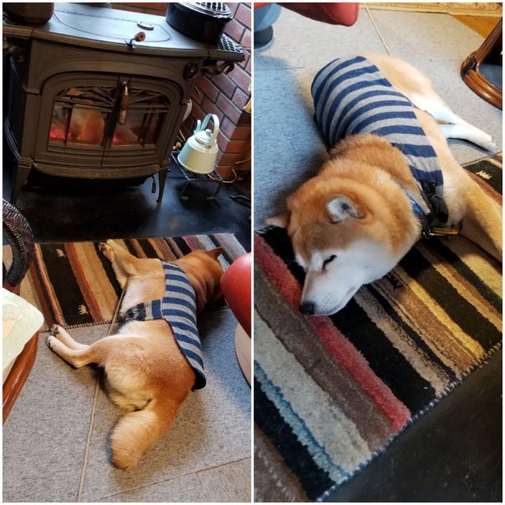 8c53fd5e 2035 4fd8 9e80 107a1fab98e5 1576630996797