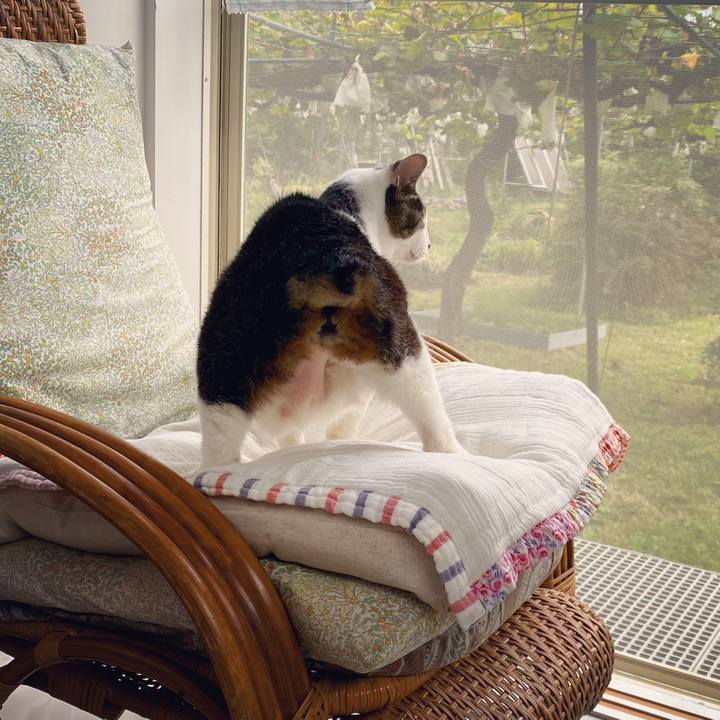 8c541a41 579c 4e29 94ad 3bb69d933703 1601796522425