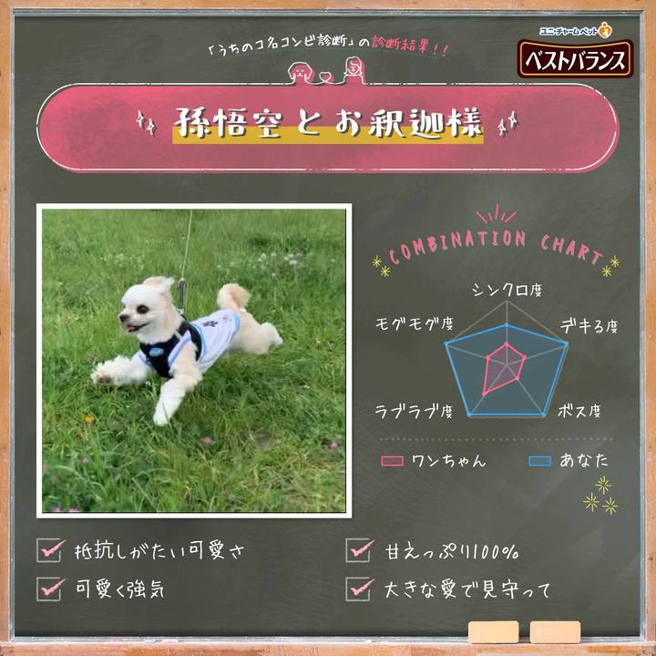 8c5430c2 3869 4389 a9ae d535e9b81b74 1559288984981