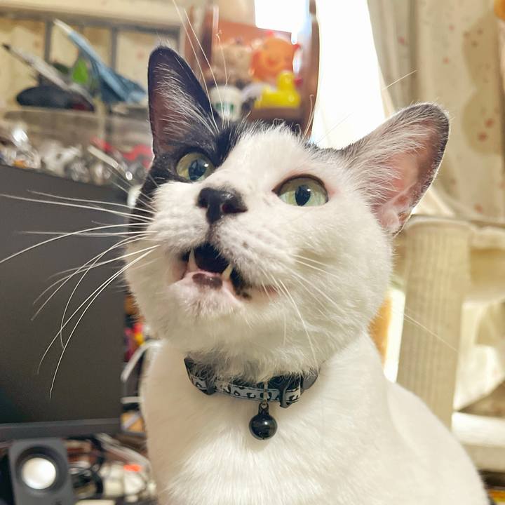 8c5448d6 f6c9 4dca bc54 a113b70bf588 1756007020220