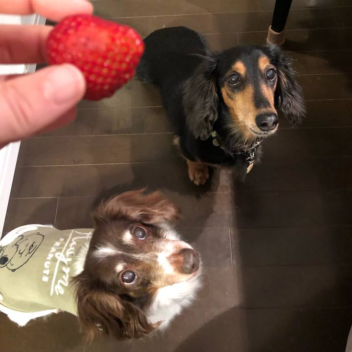 8c544e02 89de 4e21 a9cb 364c539dc224 1551791975666