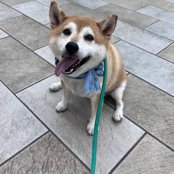 8c546257 e869 4b17 8d95 c41bc0a70019 1721615655599