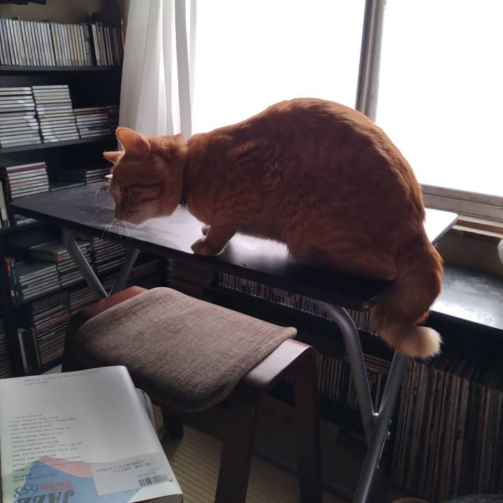 8c54a3b1 96ff 479c 861f 5d7f8450d63d 1680735010451