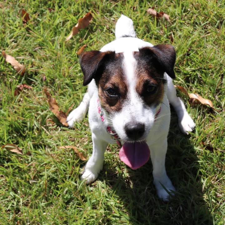 8c54a5e4 71fa 47f1 b61c 07fd695ad11b 1538890393044