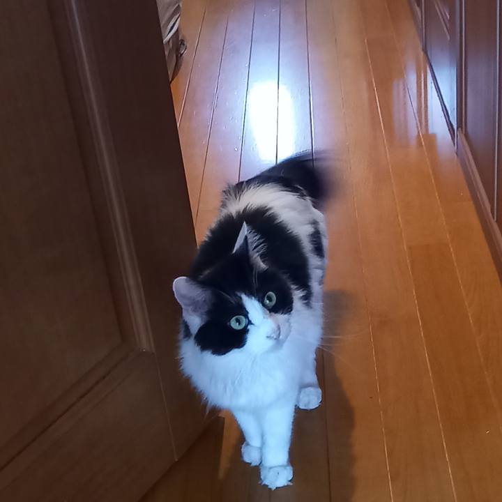 8c54cdb6 3454 4846 98c6 0c7e008b9f42 1626751031506