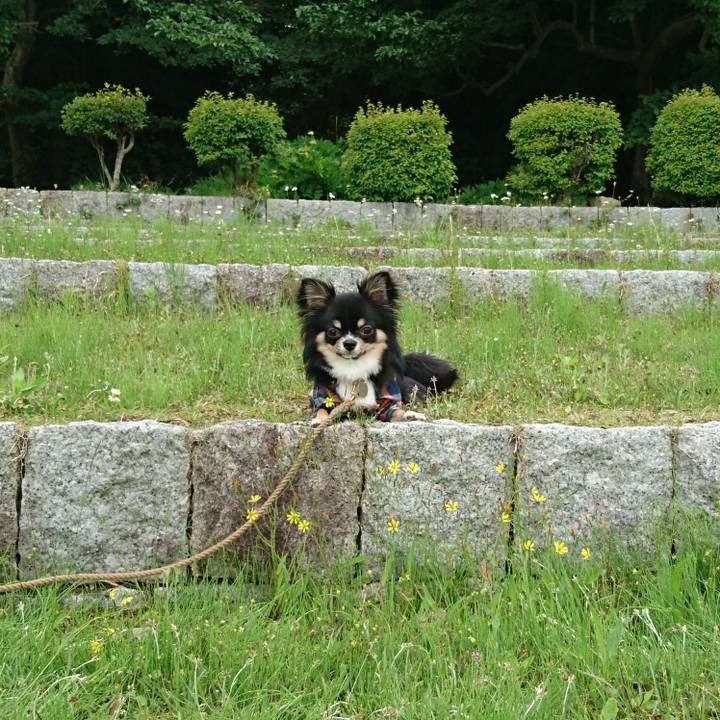 8c54f0a2 955b 41c2 b183 9bfb02a1b5ad 1526481843590