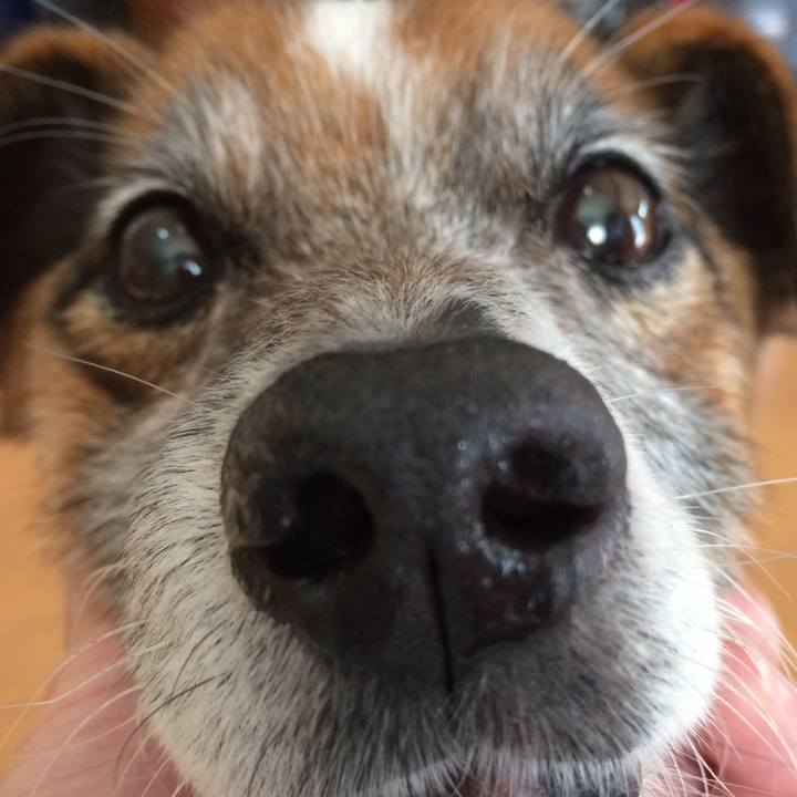 8c54f169 74a0 4ae1 91b3 2e6532b8c08b 1523508434354