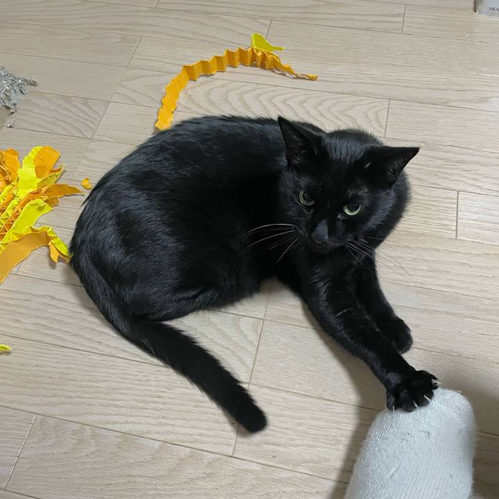 8c54f320 c014 48a7 a148 2f0ec48678a9 1706443394877