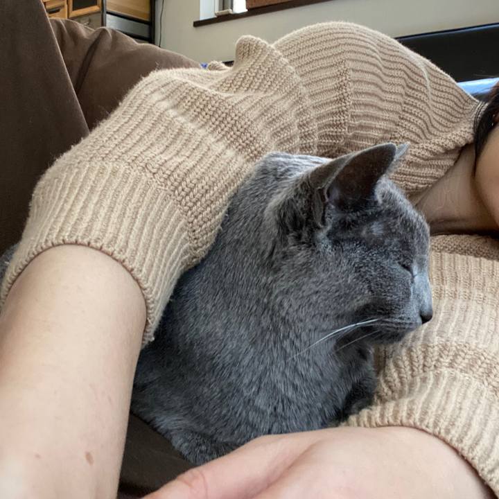 8c54ffb4 32a1 4ea9 be38 4662032a0347 1585309321681