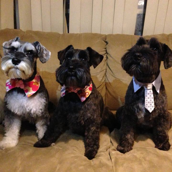 8c55289b fc4c 49b9 bb5e 4000341514a0 1764157716443