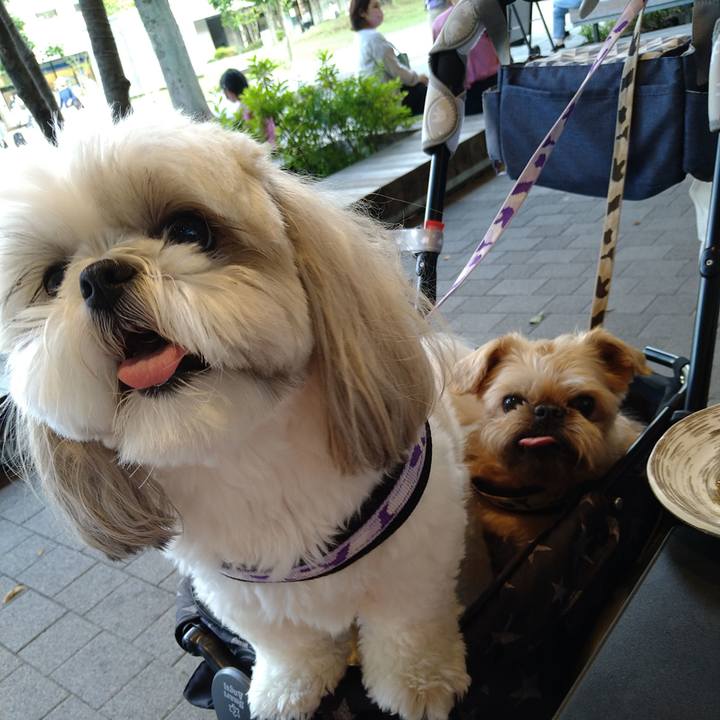 8c552f62 2c8d 4431 a197 6eb71e321f5a 1654408921469