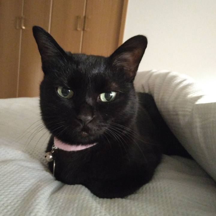 8c5588ee 9488 4c53 8c60 09ffffc1b4fe 1759875061505