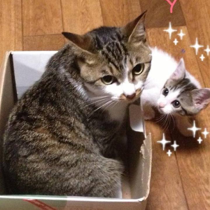 8c55955c df23 4bbe b6bc 2925c69d8088 1624074745002