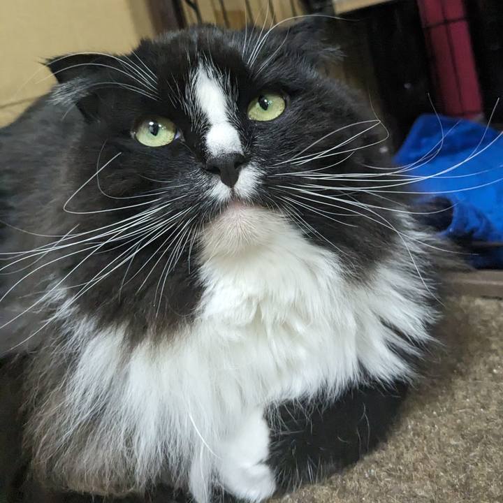 8c55bf4f 3acc 4b7f a3ce 437c5ce6baaa 1710668312269