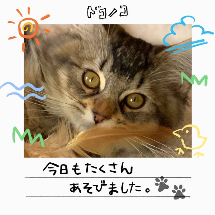 8c55e7f9 8e33 4561 a17f bf899d829f2d 1755330751075