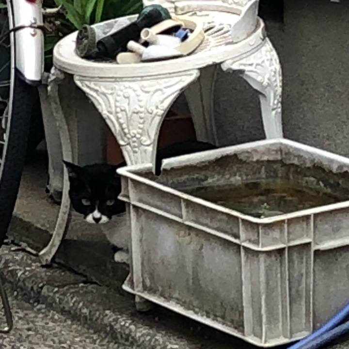 8c55ea2b f0bf 4d49 b3d4 dab736dc8c34 1538762463905