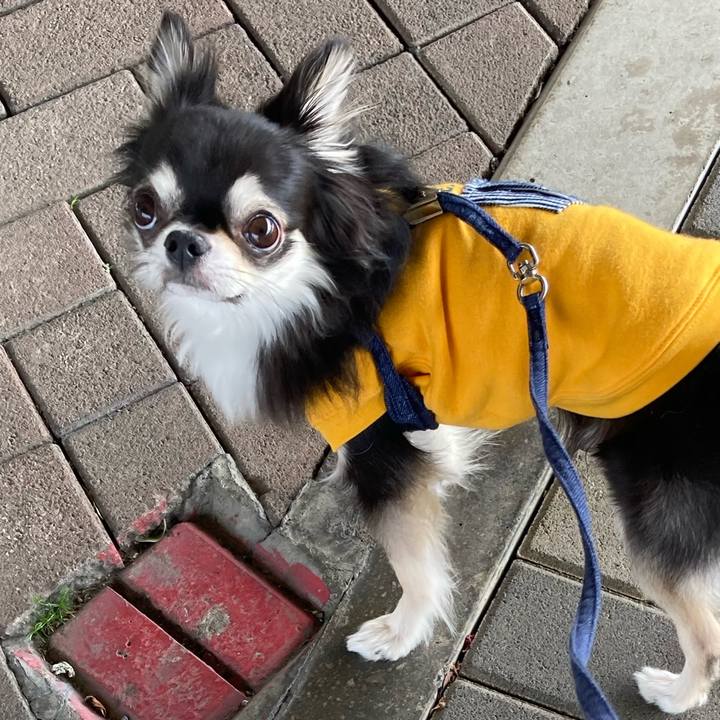 8c55ff16 1ddb 4594 8719 f81695ee514f 1678547816611