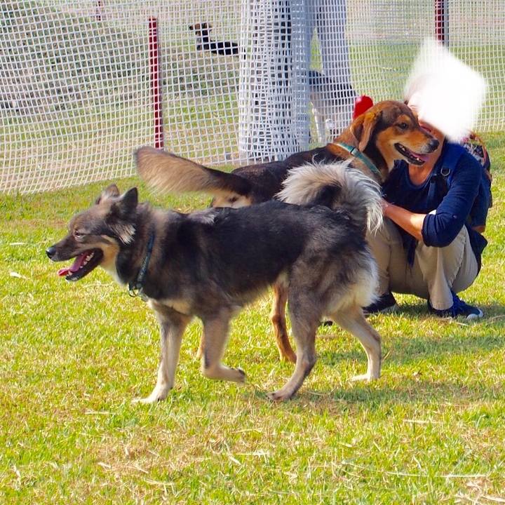 8c561c8d 73f6 4d48 84c6 6c413d753472 1543661541659