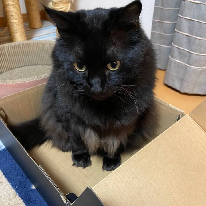 8c564ecc 6c6d 4267 9c35 a34bd3b6e139 1611583623173