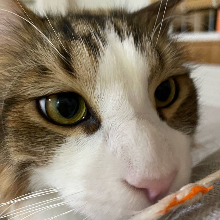 8c565e7e fa3d 4026 94b4 23b0b7d3feee 1668634833635