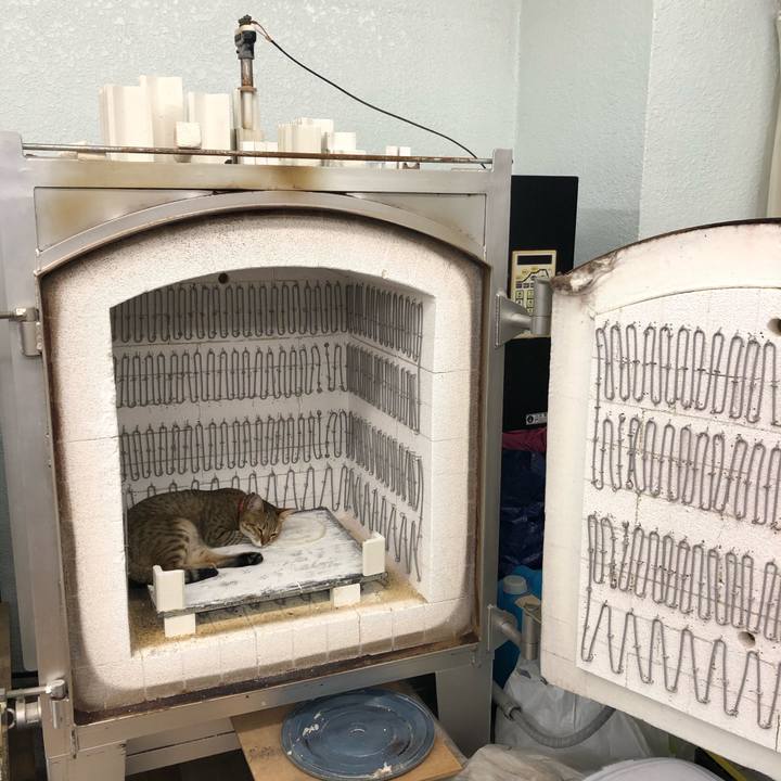 8c565f72 cf95 4e20 b081 84f97eb62497 1607674398661