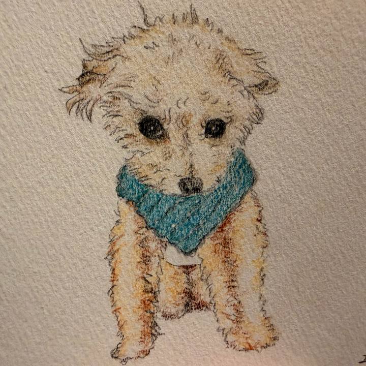 8c56778f 8f94 4706 ae66 694f3d717d3d 1771682865478