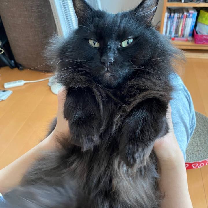 8c568026 c313 4565 9ef2 702ac4aa0596 1576299134569