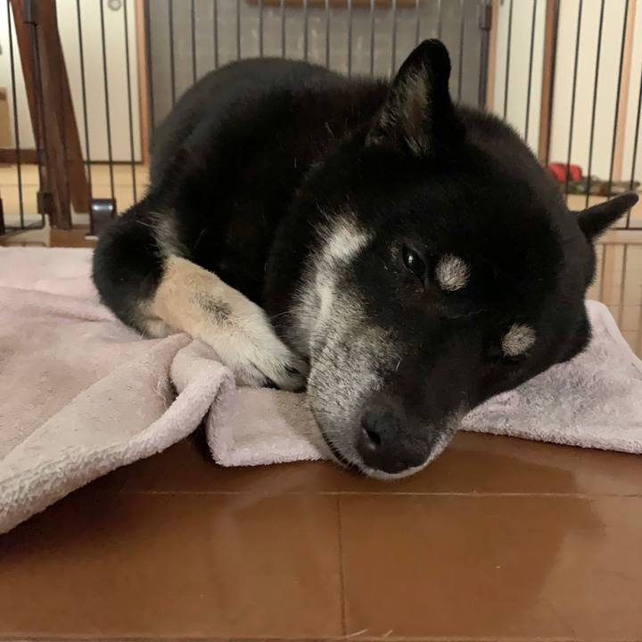 8c568f9f 46b2 4db4 a434 3b2f624a054c 1595497704519