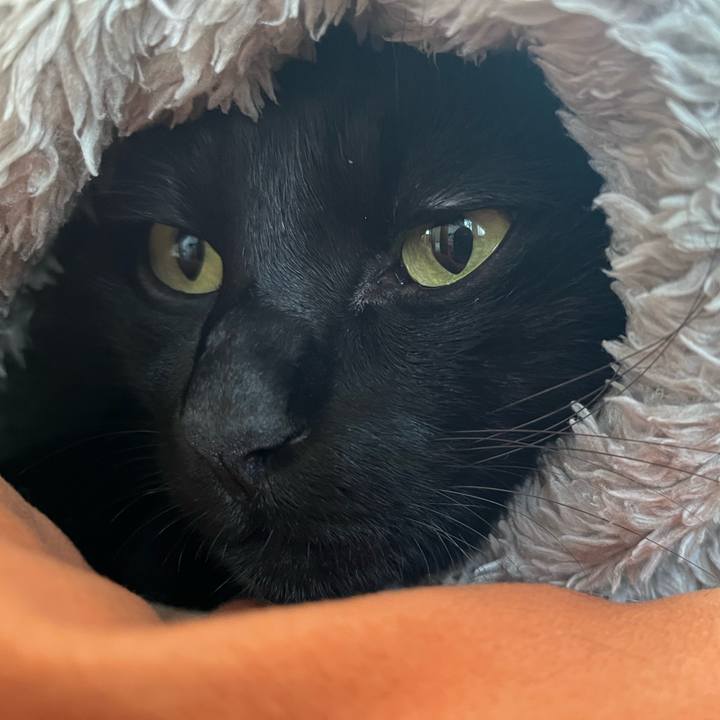 8c56c2e5 b4e2 448b 8cf7 4321b7df58e5 1730934503861