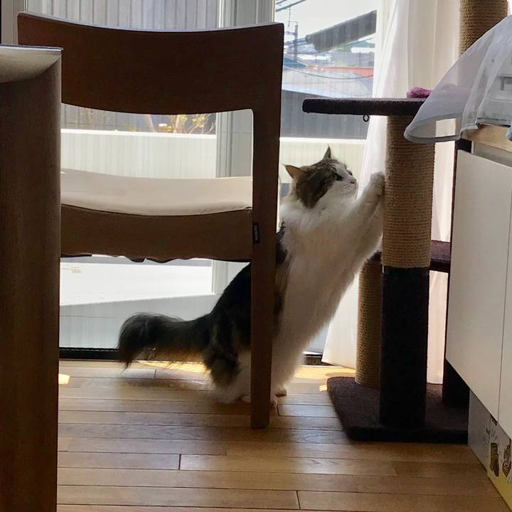 8c56c61c 2ab2 45b9 a9f8 e39dc65386f9 1530436346783