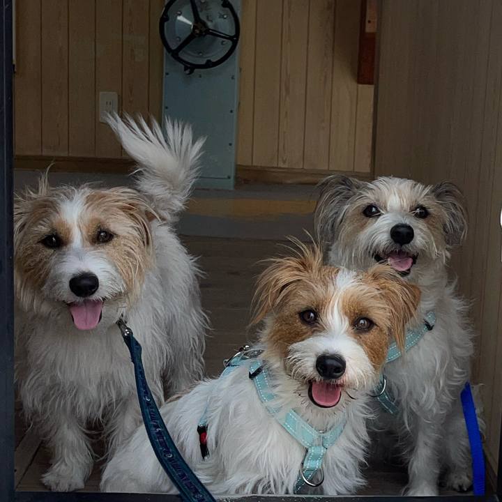 8c56f228 f52c 4086 a7e1 de2d92b39f07 1774780962864