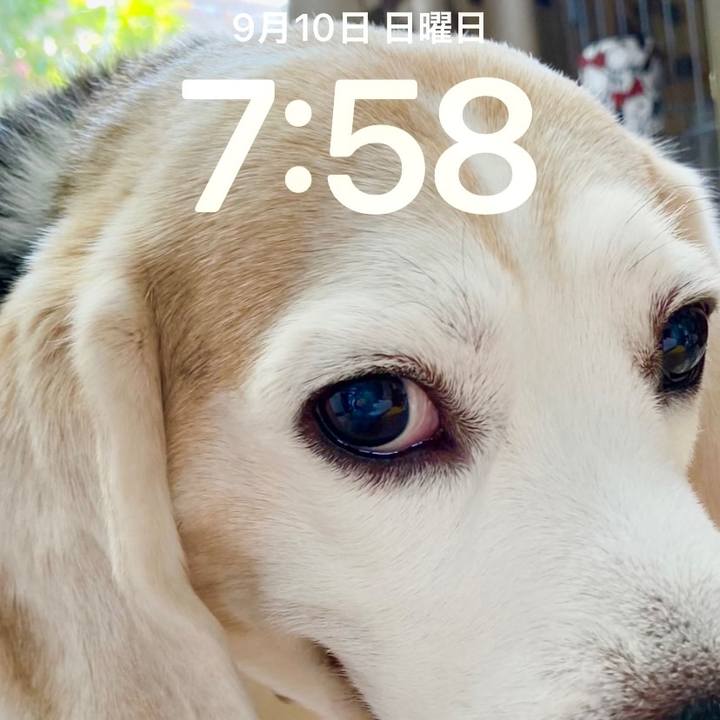 8c573d6d 2bc6 41bd a1d1 06f6e84af9a1 1694305268864