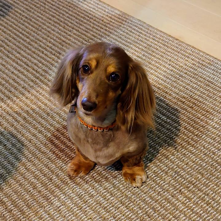 8c57493e f616 49be b869 de33292a4641 1684020588087