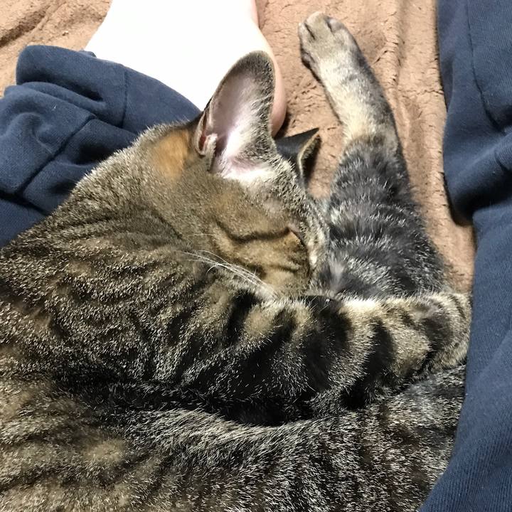 8c57c96f 9942 4551 907a cb0a1032e6b4 1510015995760