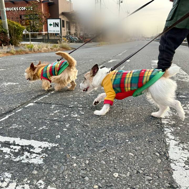 8c58385b d5dc 4473 b543 5ee28b387c45 1736075665392