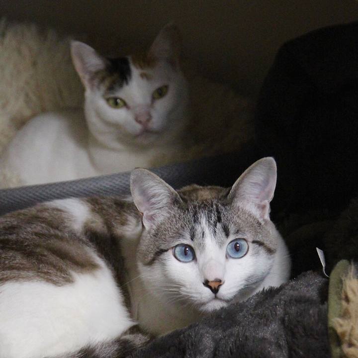 8c585311 74f3 4f07 bb61 c4aadb30421a 1654854464310