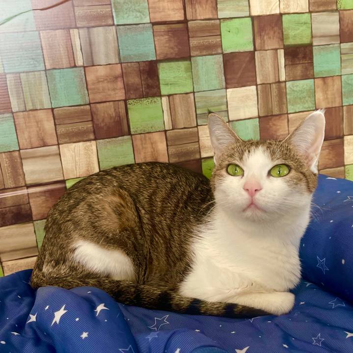 8c58653a ffa0 4b2b b4c6 f0807ba2ed15 1635558565760