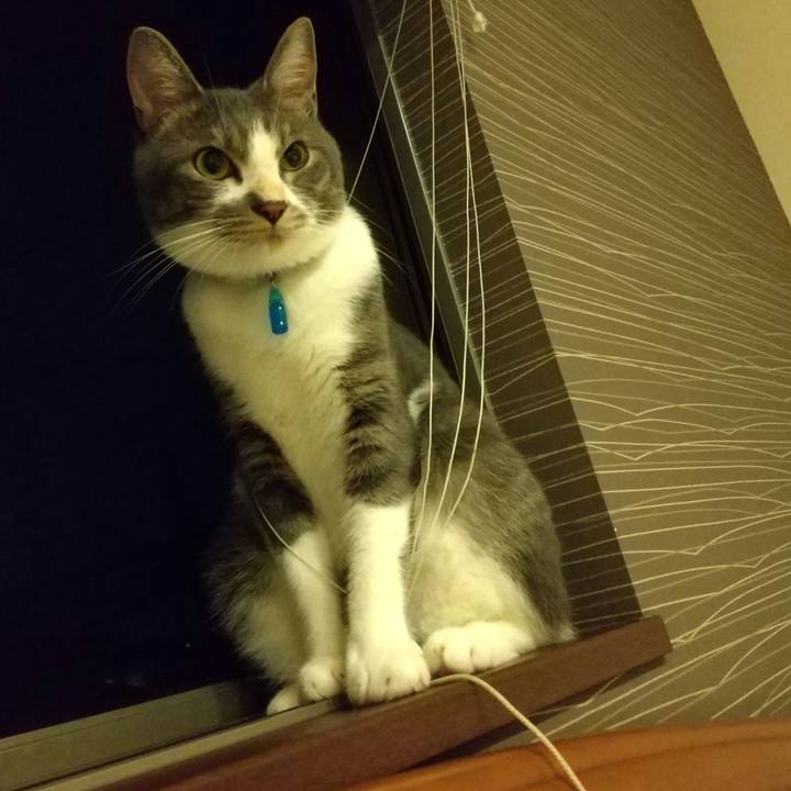 8c587404 998c 4aa9 a938 fdddb8af8206 1598968395350