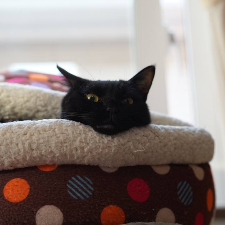 8c58b753 047f 4f33 af69 59862177dcc6 1557538232046